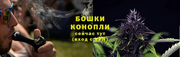 тгк Пестово