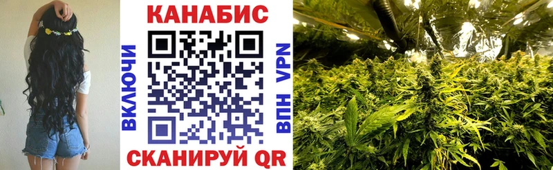 Каннабис AK-47  купить закладку  Бакал 